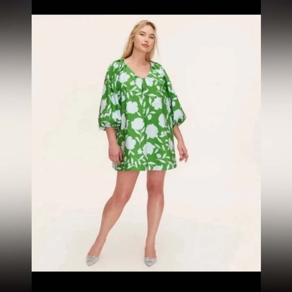 KATE SPADE TARGET  Rose Poplin Long Sleeve Mini Dress Green Blue Sz Large